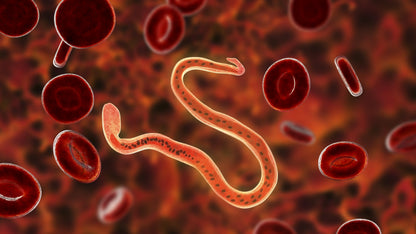 parasite capsules